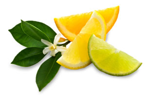 citrus mint green